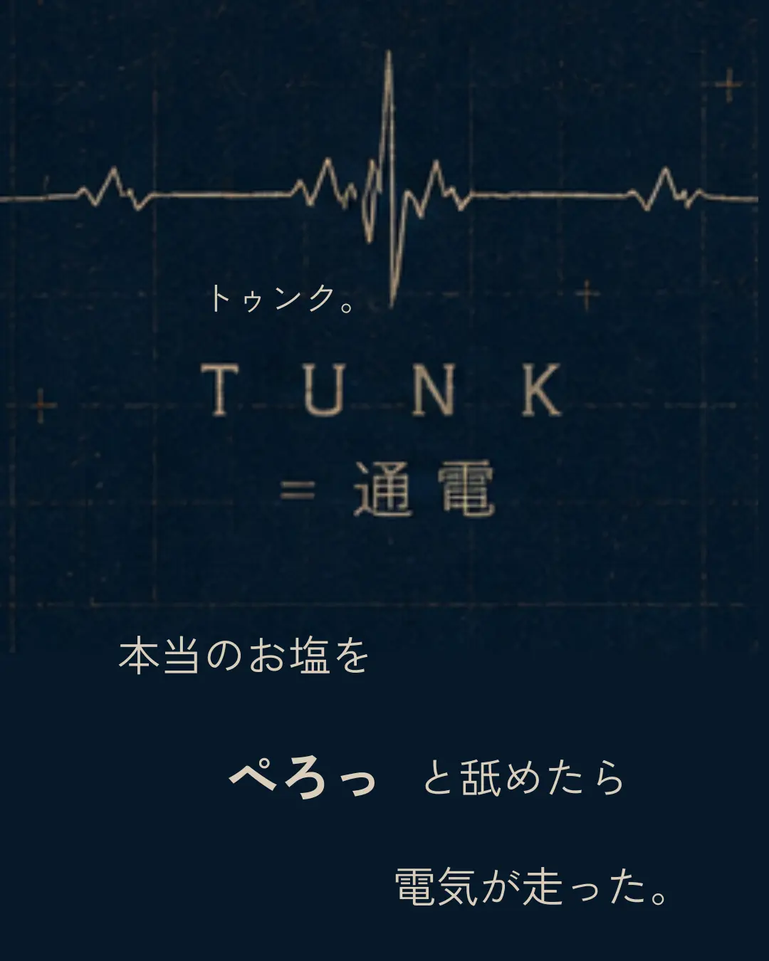 TUNKイコール通電、本当のお塩を舐めた体験